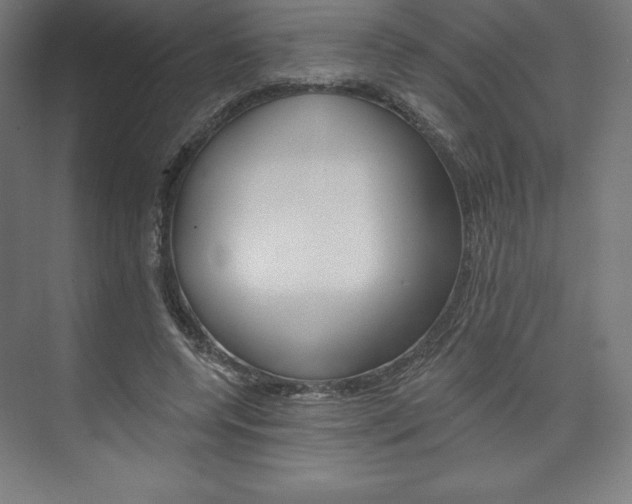 X0000073950544200608210945