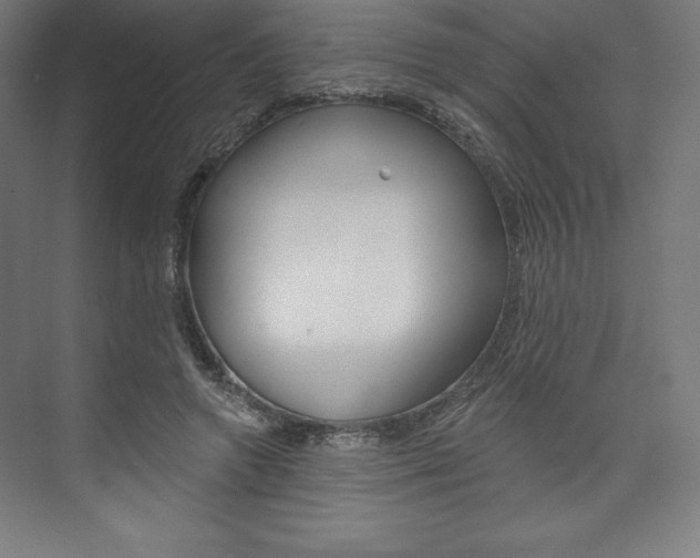 X0000073950546200608210945