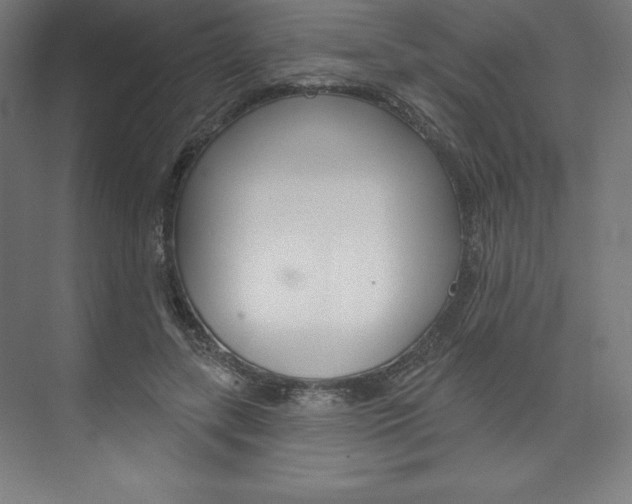 X0000073950547200608210945
