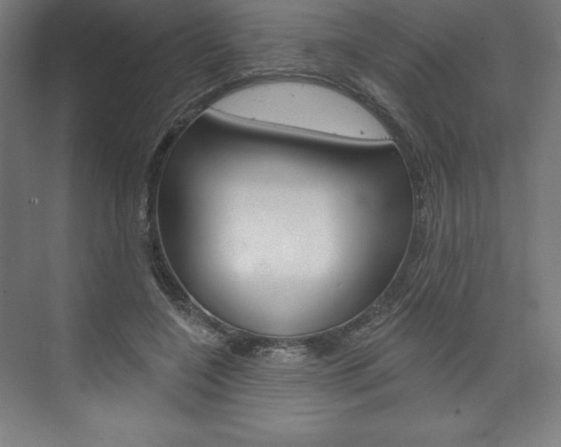 X0000073950548200608210945