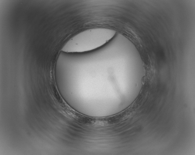 X0000073950549200608210945