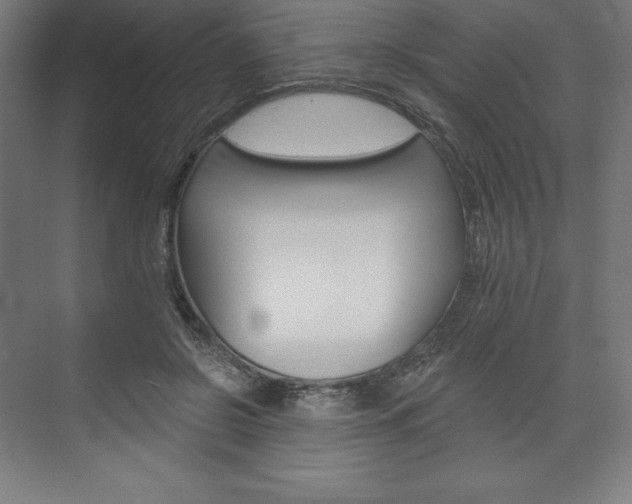 X0000073950550200608210945