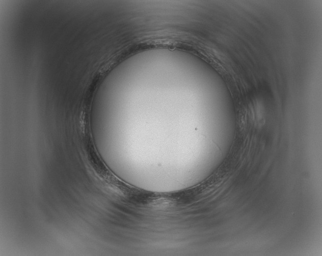 X0000073950551200608210945