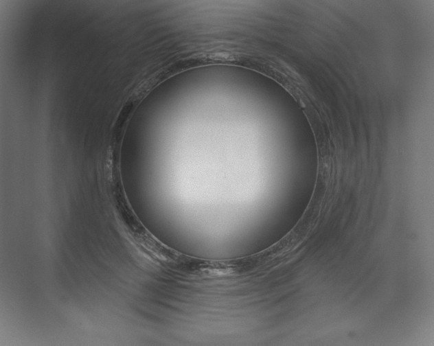 X0000073950552200608210945