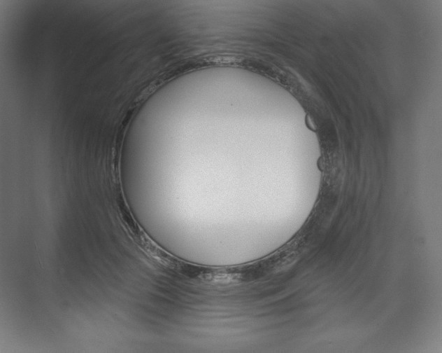 X0000073950553200608210945