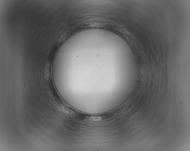 X0000073950554200608210945