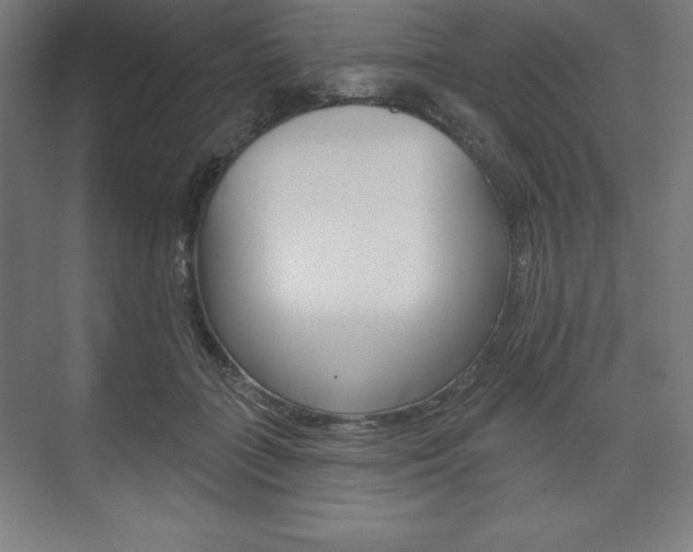 X0000073950555200608210945