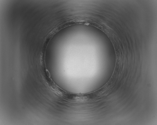 X0000073950556200608210945