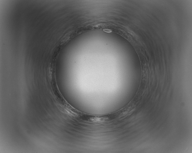 X0000073950558200608210945