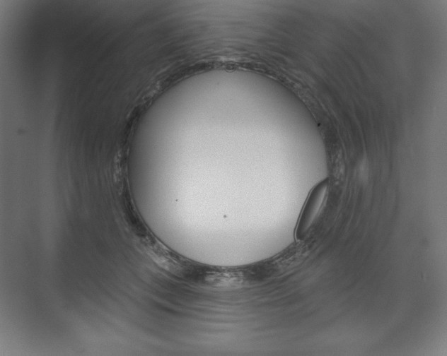 X0000073950559200608210945