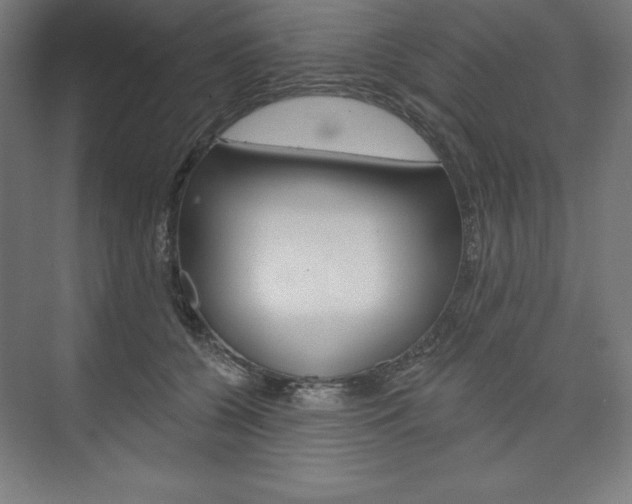 X0000073950560200608210945