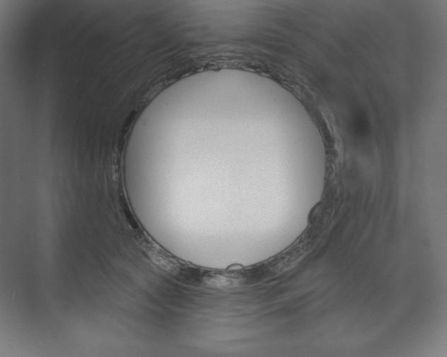 X0000073950561200608210945
