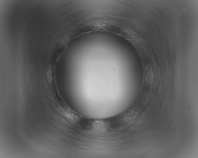 X0000073950562200608210945