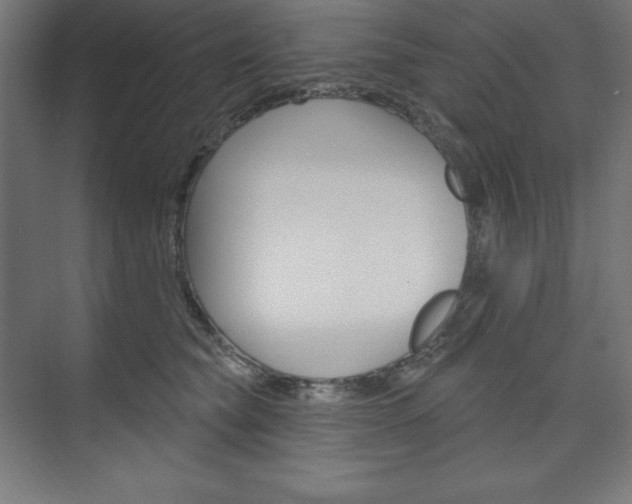 X0000073950565200608210945