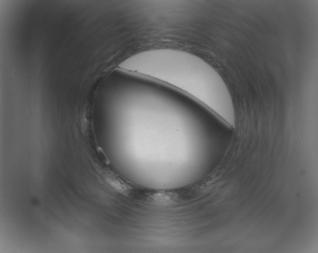 X0000073950566200608210945