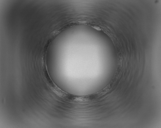X0000073950568200608210945