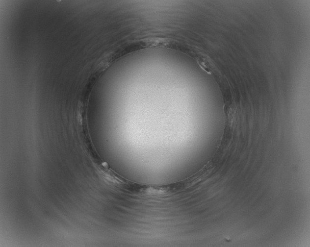 X0000073950570200608210945