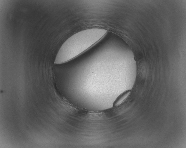X0000073950571200608210945