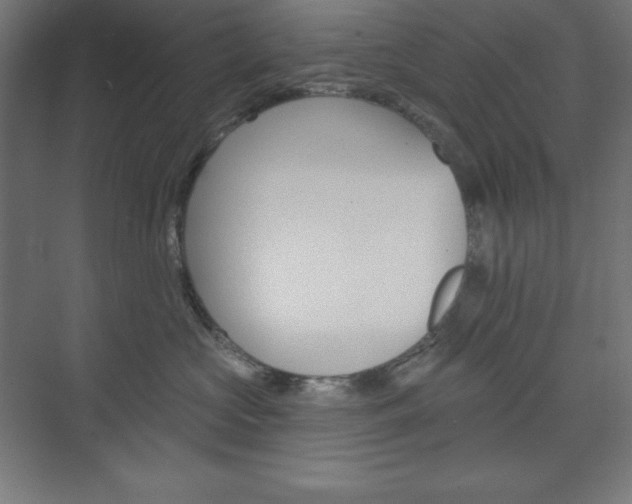 X0000073950573200608210945