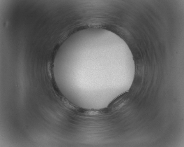 X0000073950575200608210945