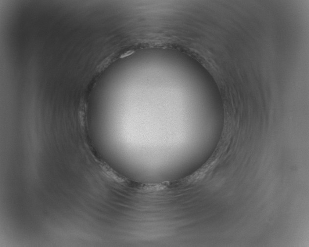 X0000073950576200608210945