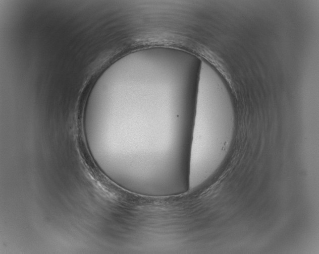 X0000073950578200608210945