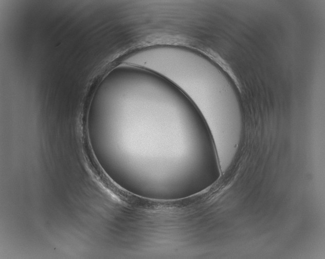 X0000073950581200608210944
