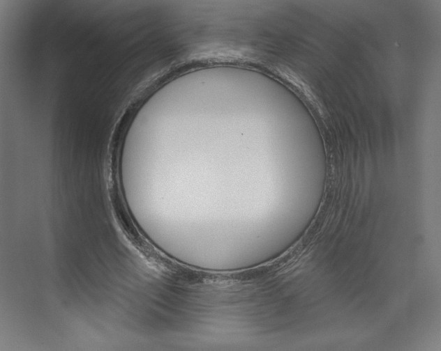 X0000073950582200608210944
