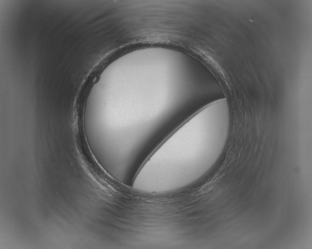 X0000073950584200608210944