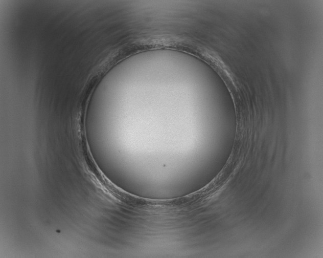 X0000073950585200608210944