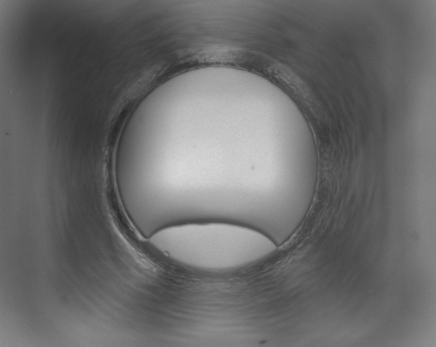 X0000073950586200608210944