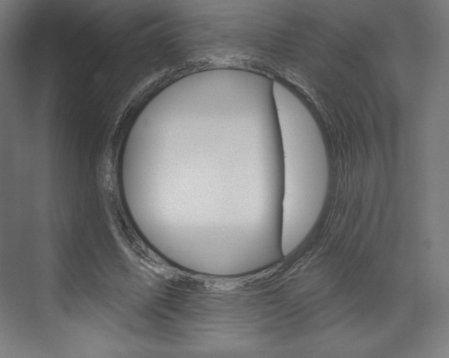 X0000073950587200608210944