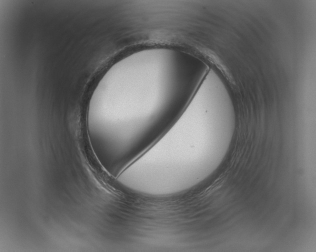 X0000073950588200608210944
