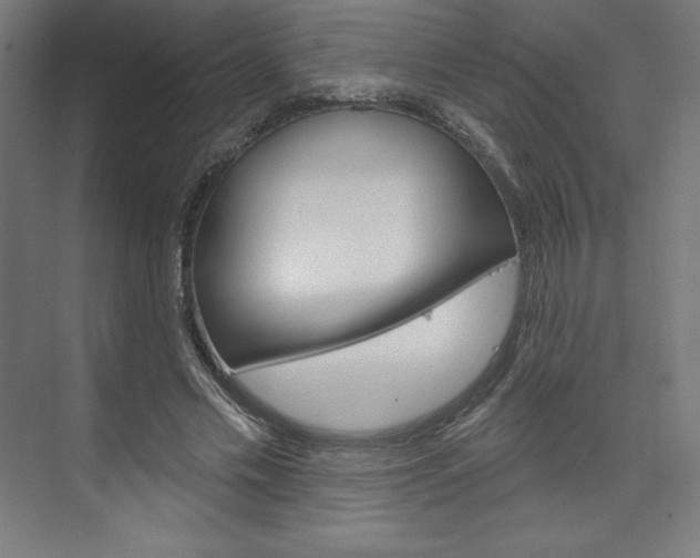 X0000073950589200608210944