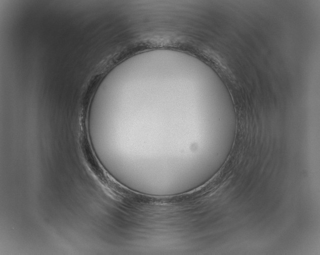 X0000073950590200608210944