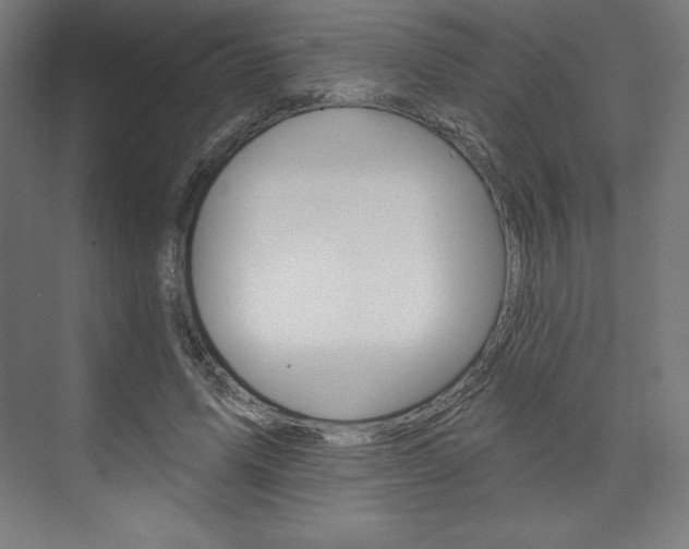 X0000073950591200608210944