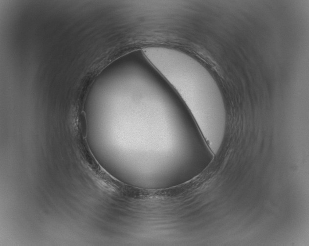 X0000073950593200608210944