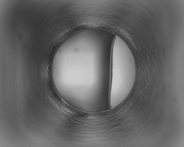 X0000073950596200608210944