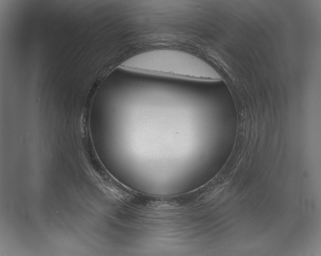 X0000073950597200608210944