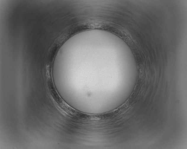 X0000073950598200608210944