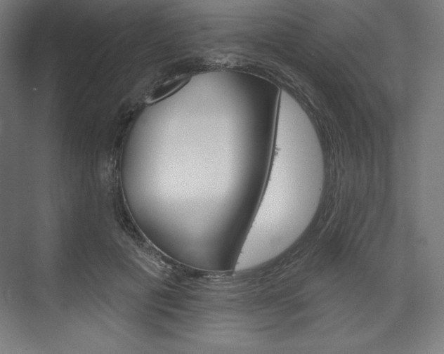 X0000073950601200608210944