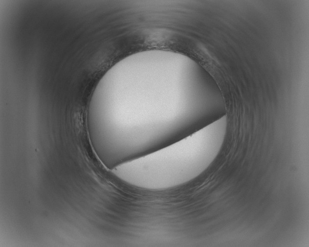 X0000073950603200608210944