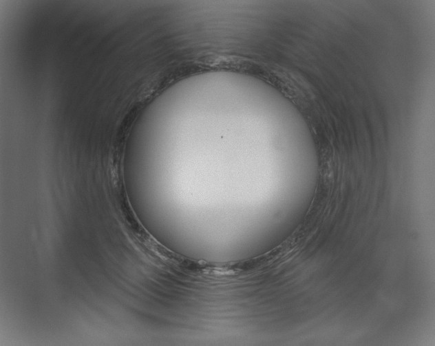 X0000073950607200608210944