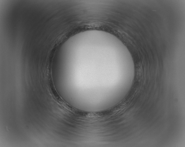 X0000073950608200608210944