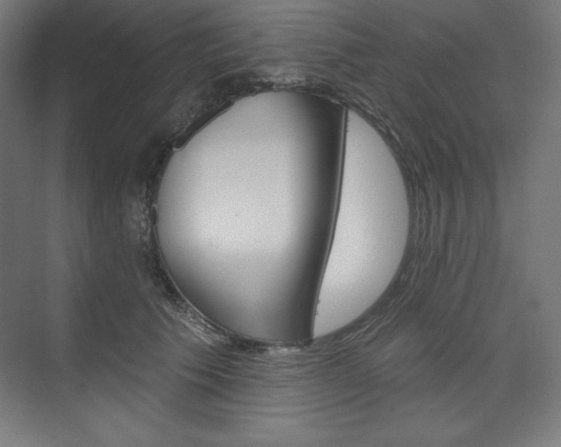 X0000073950609200608210944