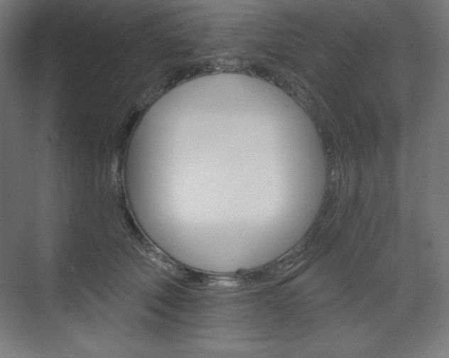 X0000073950610200608210944