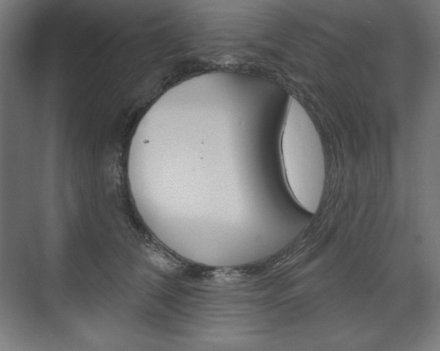 X0000073950612200608210944