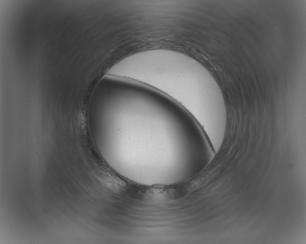 X0000073950613200608210944