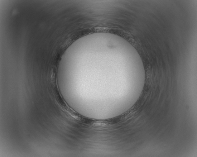 X0000073950614200608210944