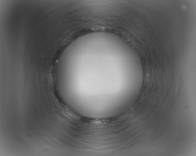 X0000073950616200608210944